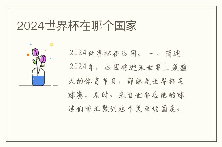 2024世界杯在哪个国家