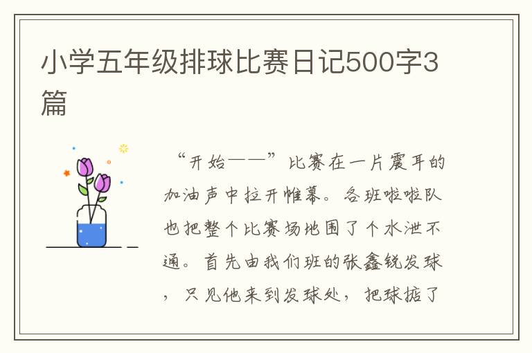 小学五年级排球比赛日记500字3篇
