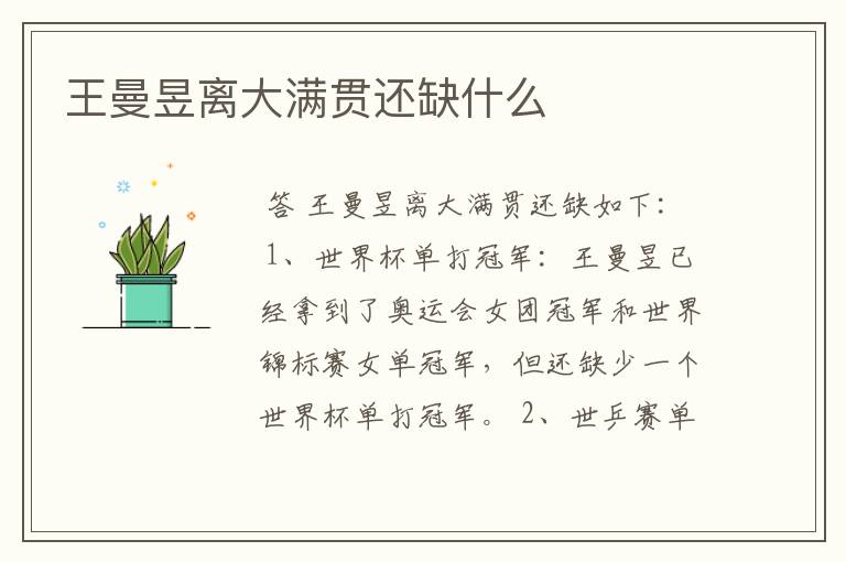 王曼昱离大满贯还缺什么