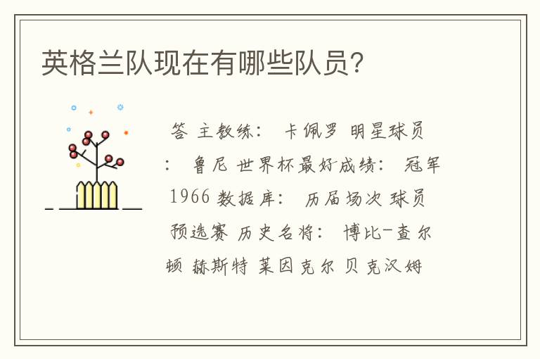英格兰队现在有哪些队员?