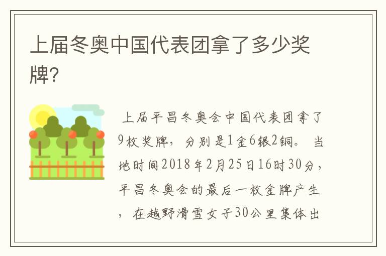 上届冬奥中国代表团拿了多少奖牌?