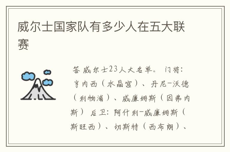 威尔士国家队有多少人在五大联赛