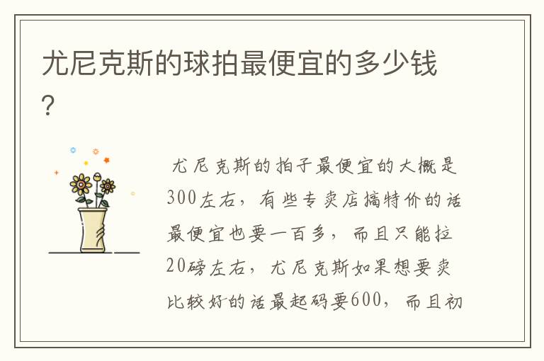 尤尼克斯的球拍最便宜的多少钱?