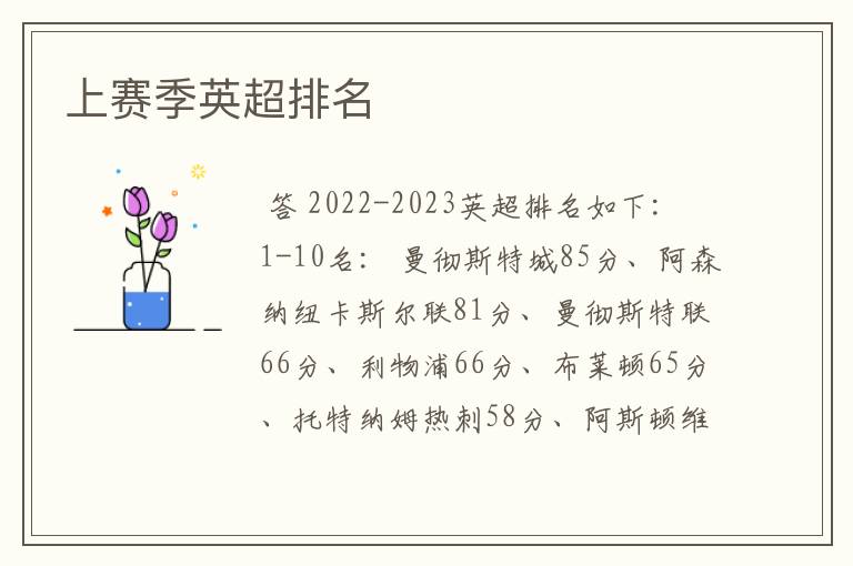 上赛季英超排名