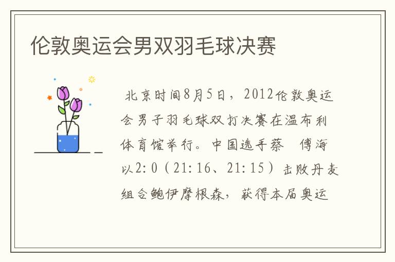 伦敦奥运会男双羽毛球决赛