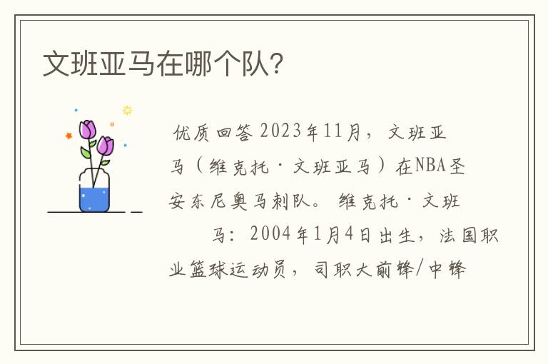 文班亚马在哪个队?
