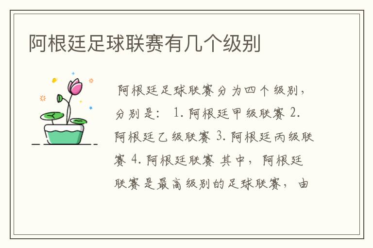 阿根廷足球联赛有几个级别