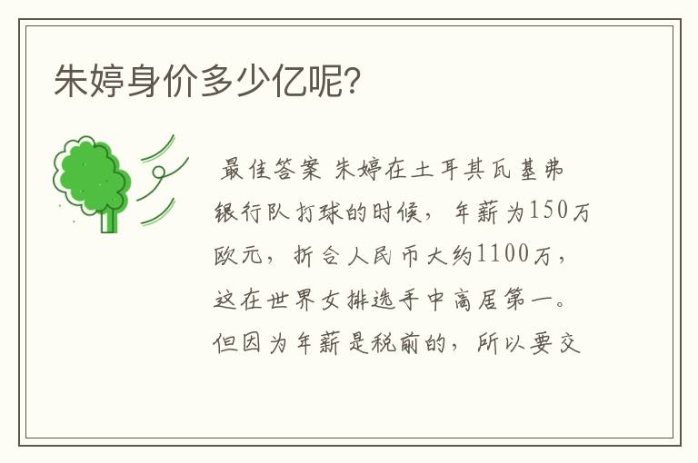 朱婷身价多少亿呢?