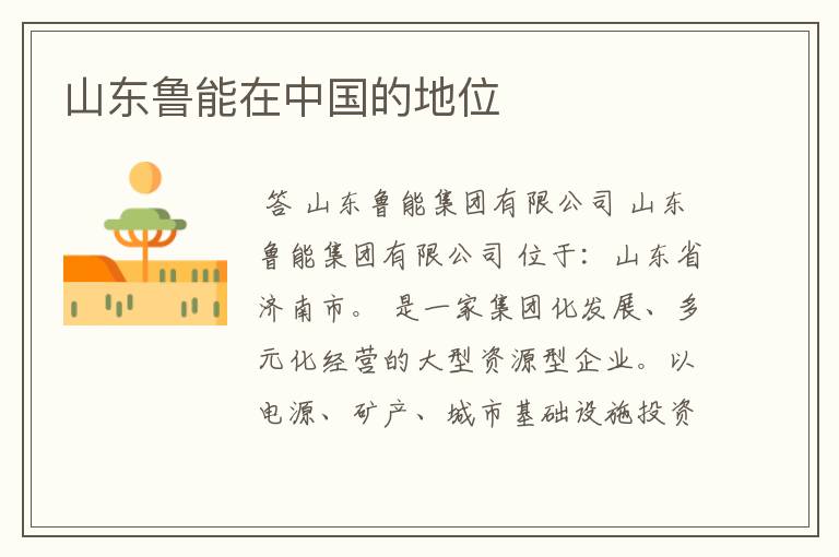 山东鲁能在中国的地位