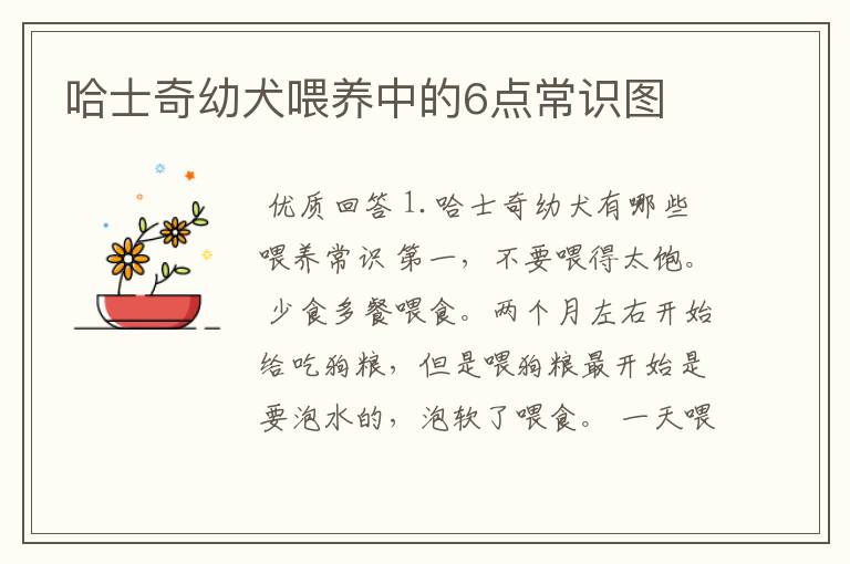 哈士奇幼犬喂养中的6点常识图