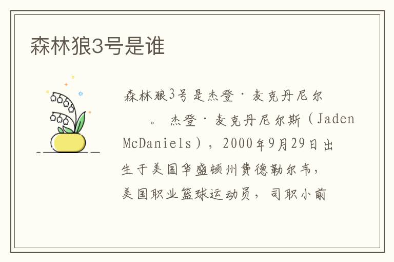 森林狼3号是谁