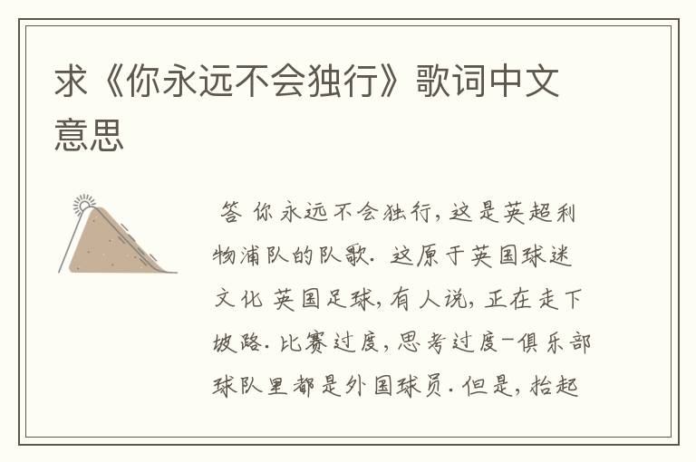 求《你永远不会独行》歌词中文意思