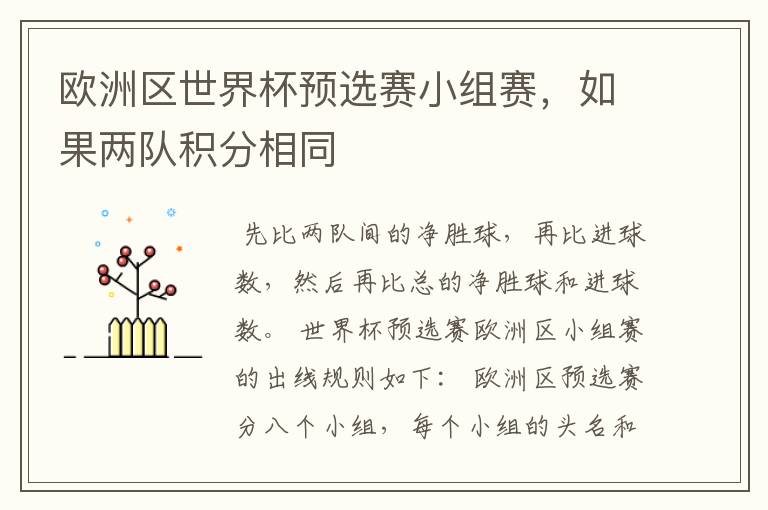 欧洲区世界杯预选赛小组赛,如果两队积分相同