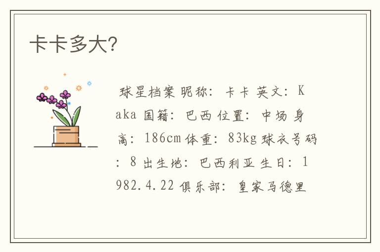 卡卡多大?