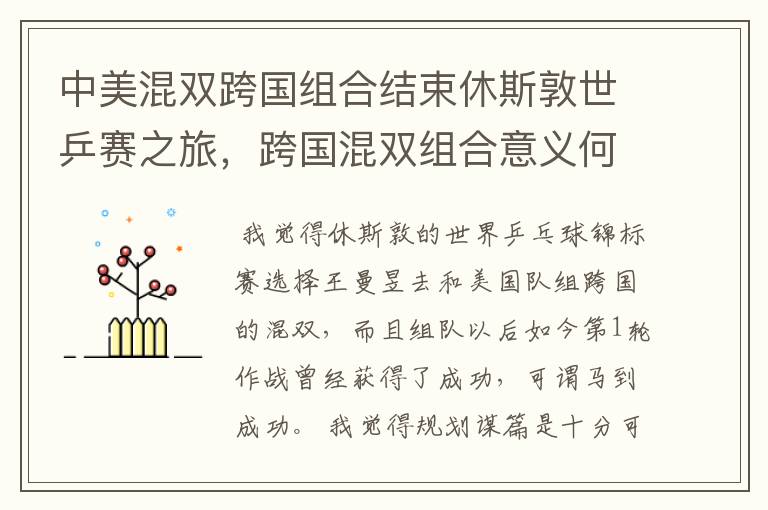 中美混双跨国组合结束休斯敦世乒赛之旅,跨国混双组合意义何在?