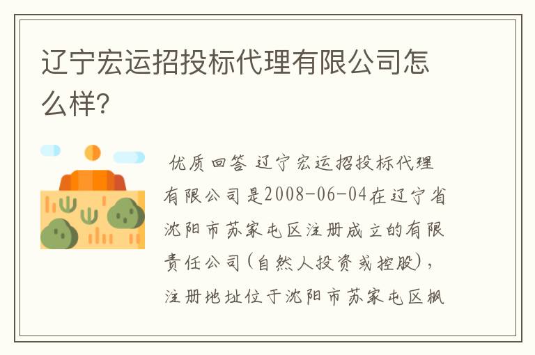 辽宁宏运招投标代理有限公司怎么样?