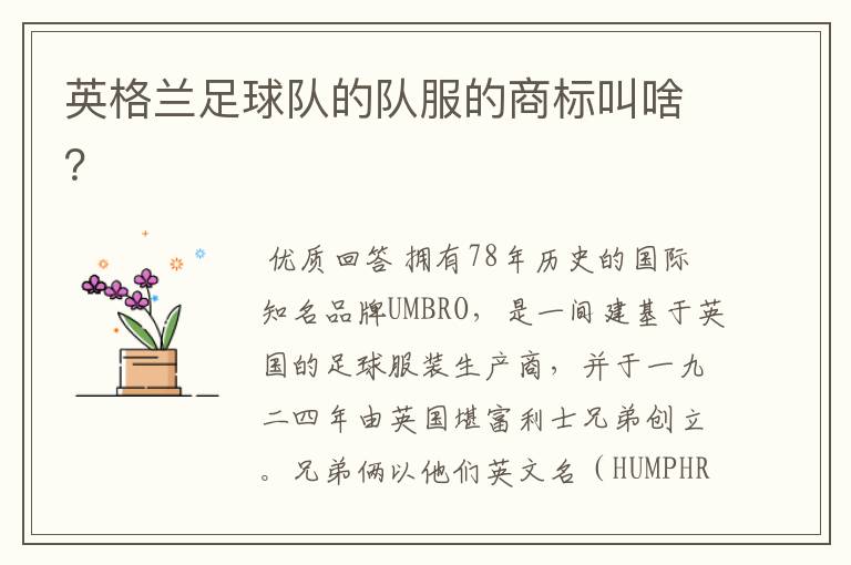 英格兰足球队的队服的商标叫啥?