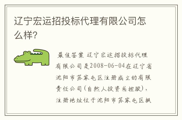 辽宁宏运招投标代理有限公司怎么样?