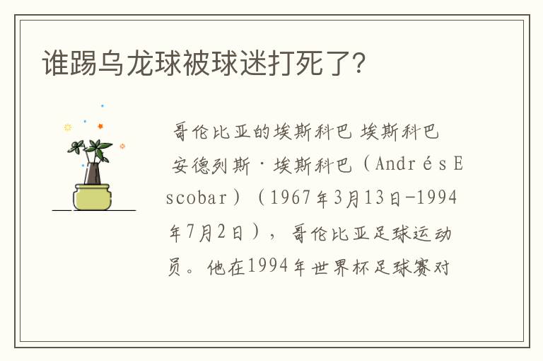 谁踢乌龙球被球迷打死了?