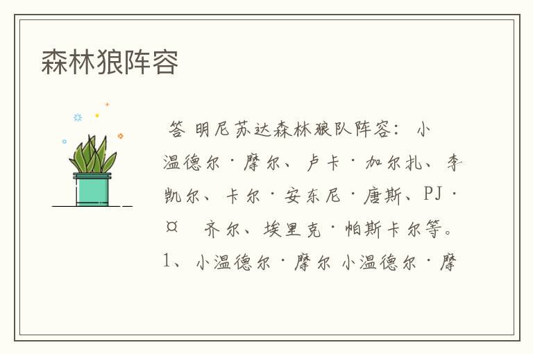 森林狼阵容