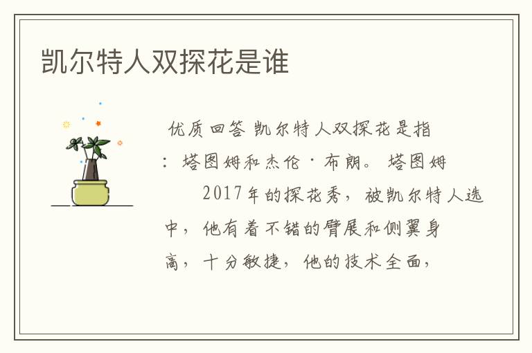 凯尔特人双探花是谁