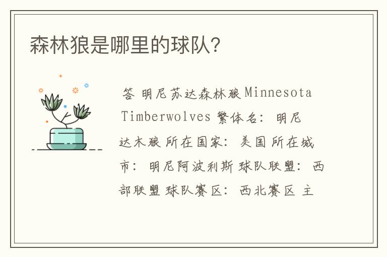 森林狼是哪里的球队?