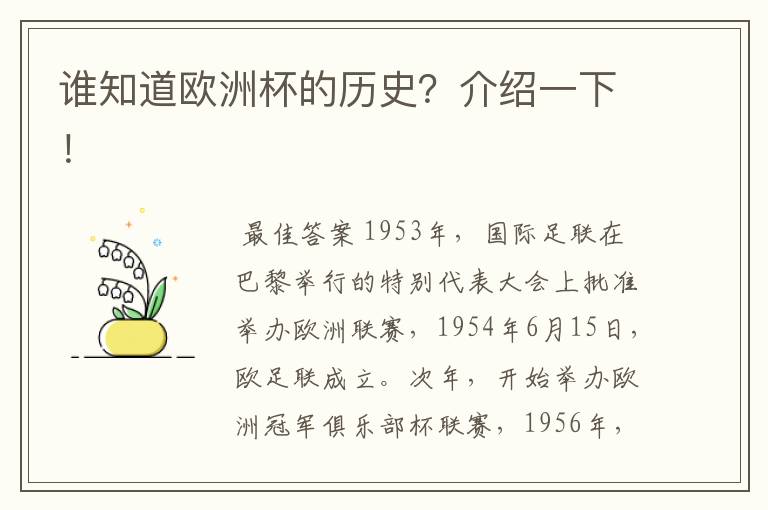 谁知道欧洲杯的历史?介绍一下!