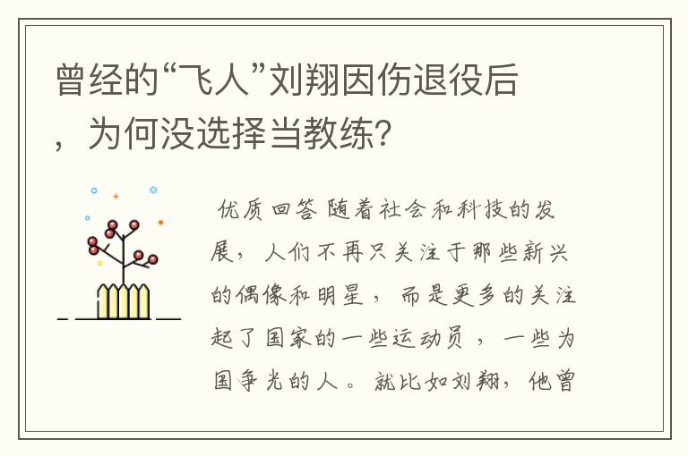 曾经的“飞人”刘翔因伤退役后，为何没选择当教练？