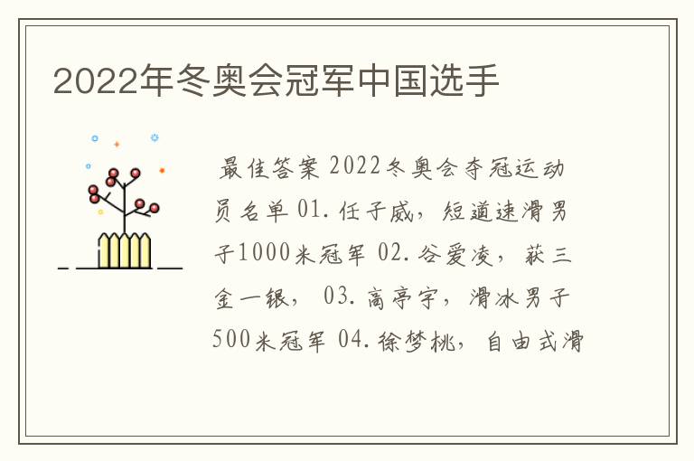 2022年冬奥会冠军中国选手