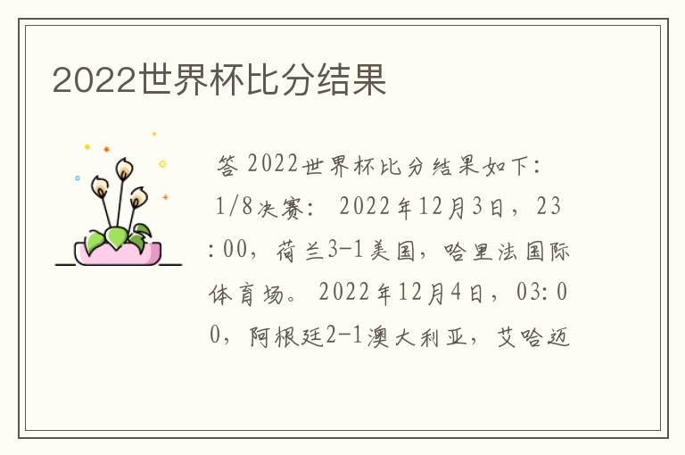 2022世界杯比分结果