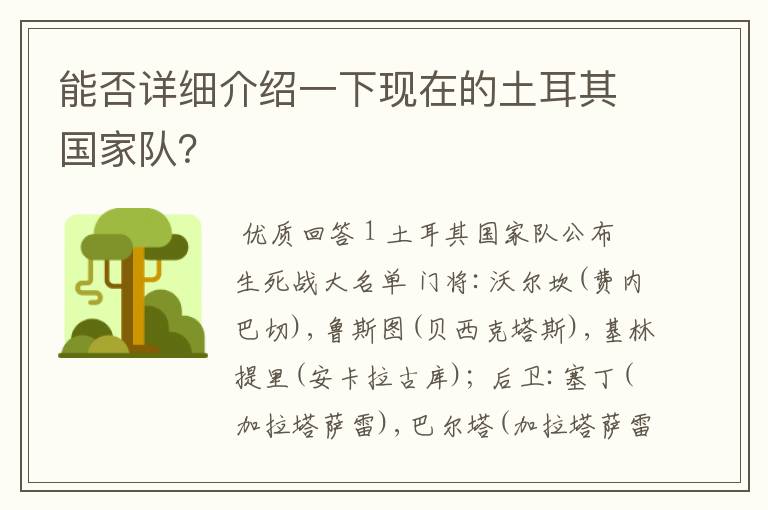 能否详细介绍一下现在的土耳其国家队?