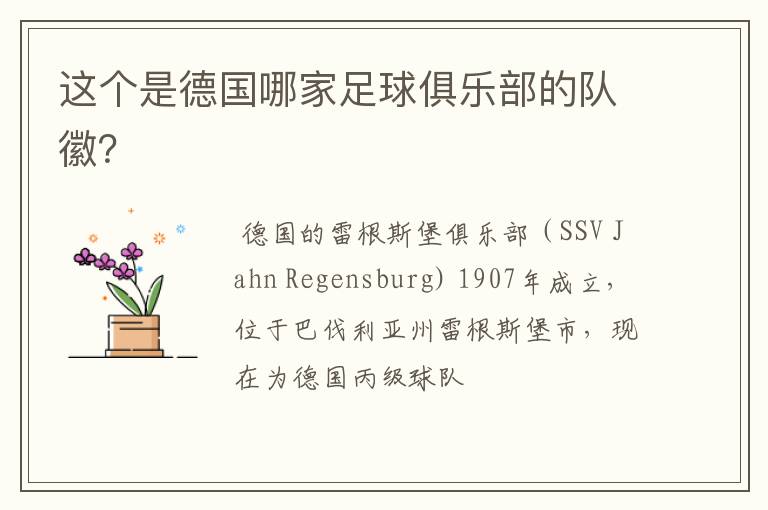 这个是德国哪家足球俱乐部的队徽?