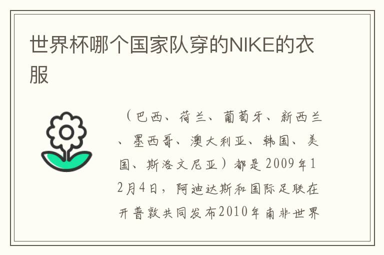 世界杯哪个国家队穿的NIKE的衣服