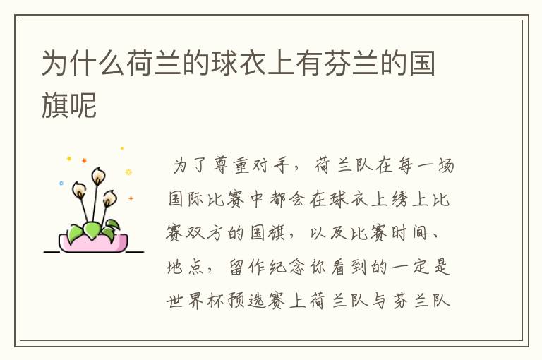 为什么荷兰的球衣上有芬兰的国旗呢