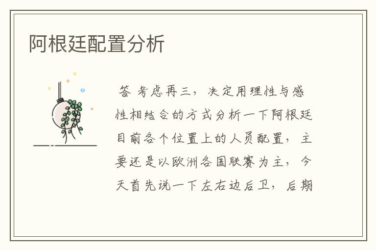 阿根廷配置分析