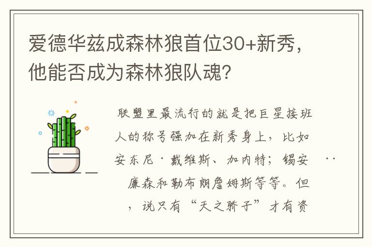 爱德华兹成森林狼首位30+新秀,他能否成为森林狼队魂?