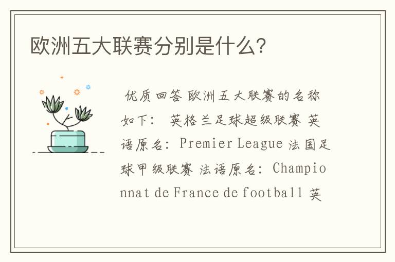 欧洲五大联赛分别是什么?