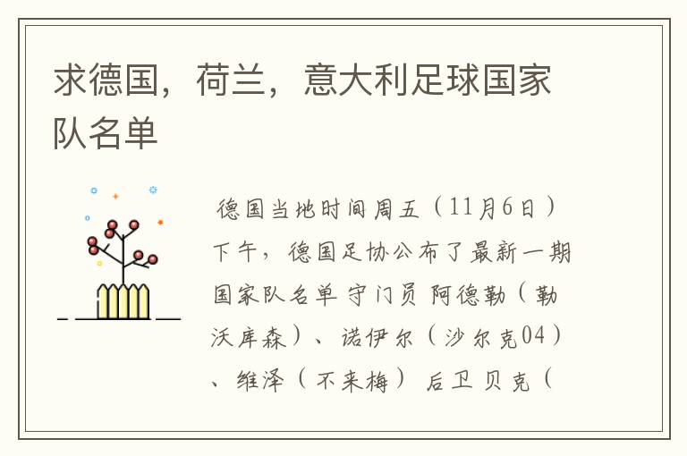 求德国,荷兰,意大利足球国家队名单
