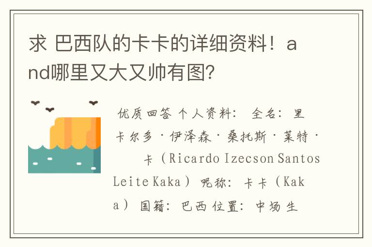 求 巴西队的卡卡的详细资料!and哪里又大又帅有图?