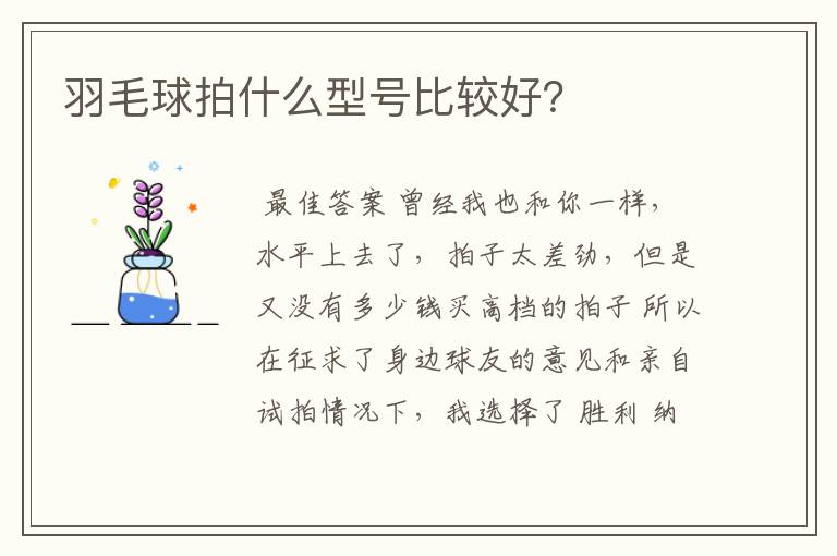 羽毛球拍什么型号比较好?