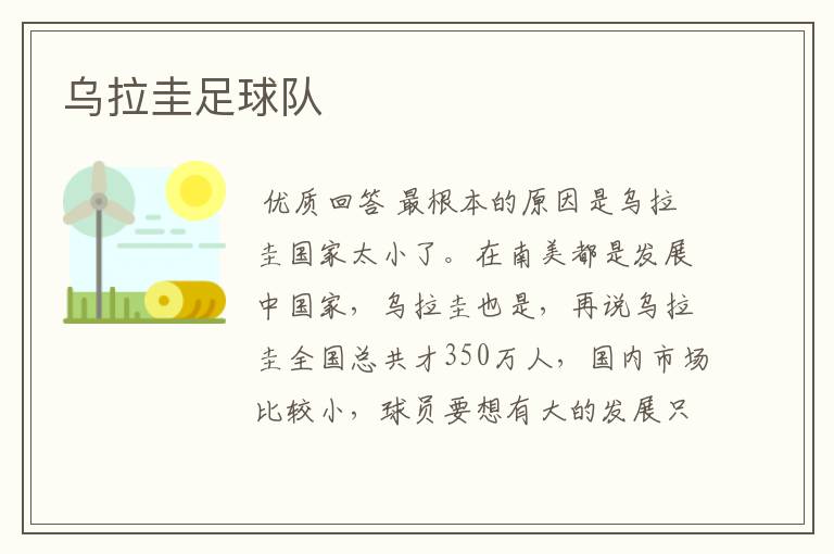乌拉圭足球队