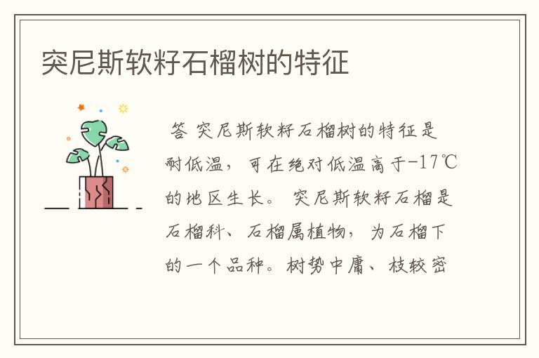 突尼斯软籽石榴树的特征