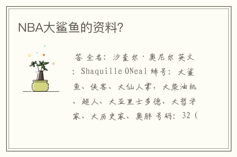 NBA大鲨鱼的资料?