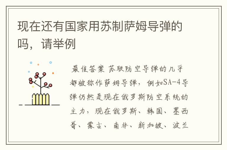 现在还有国家用苏制萨姆导弹的吗,请举例