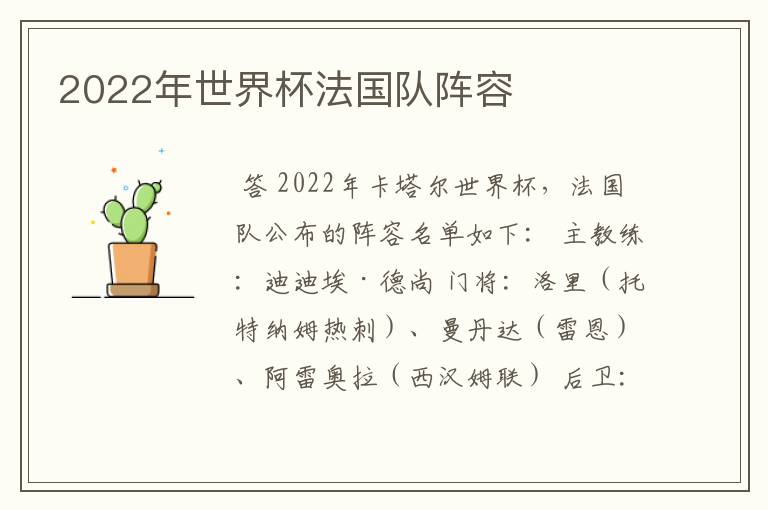 2022年世界杯法国队阵容