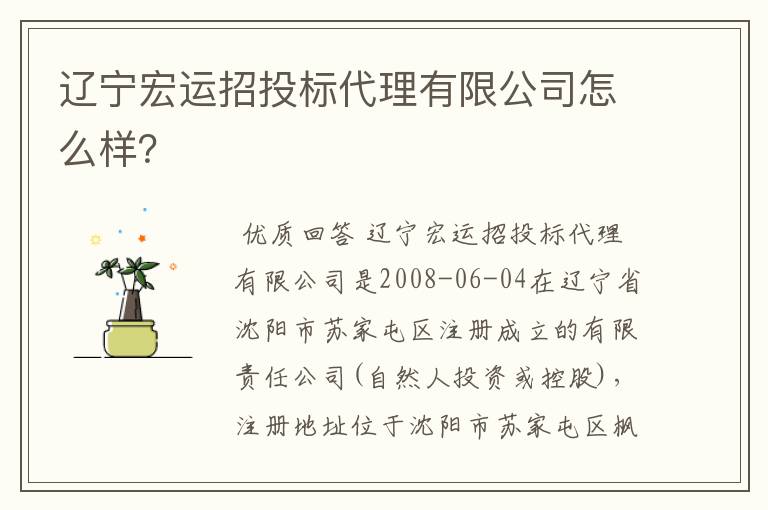 辽宁宏运招投标代理有限公司怎么样?