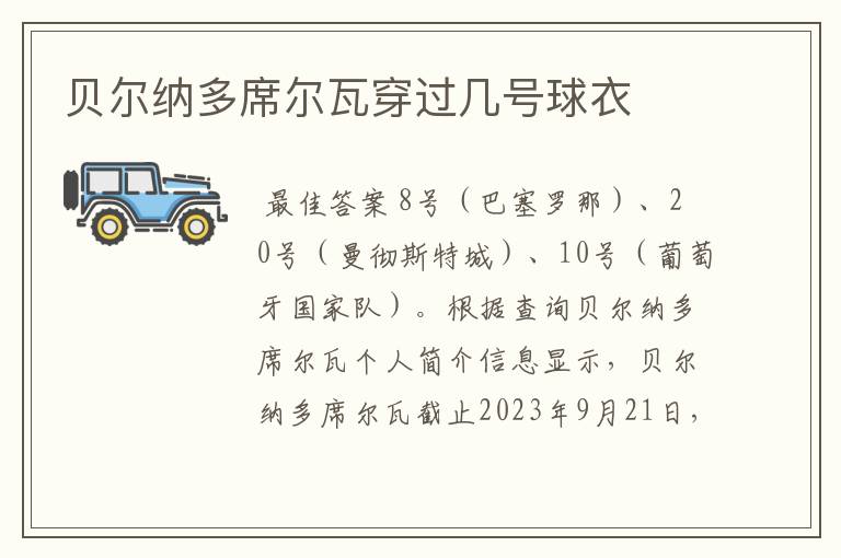 贝尔纳多席尔瓦穿过几号球衣
