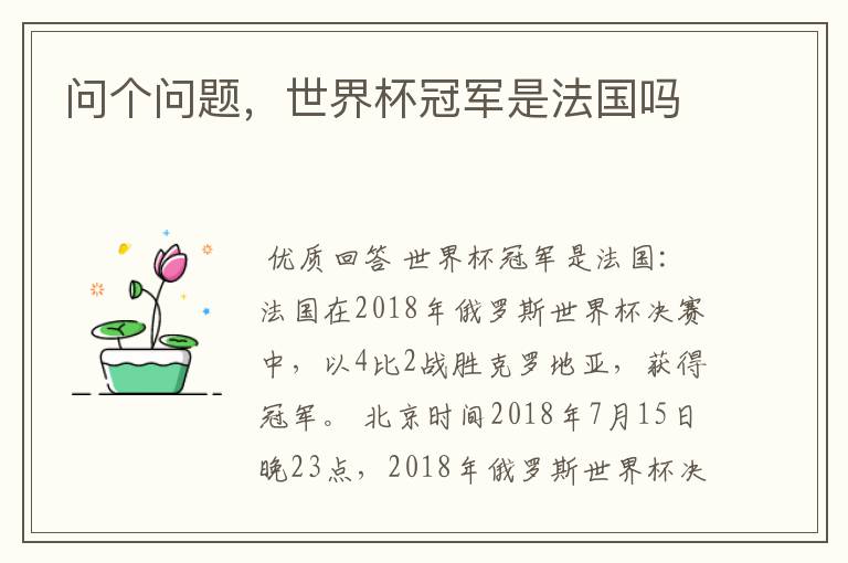问个问题,世界杯冠军是法国吗
