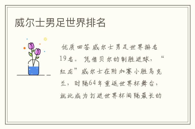威尔士男足世界排名