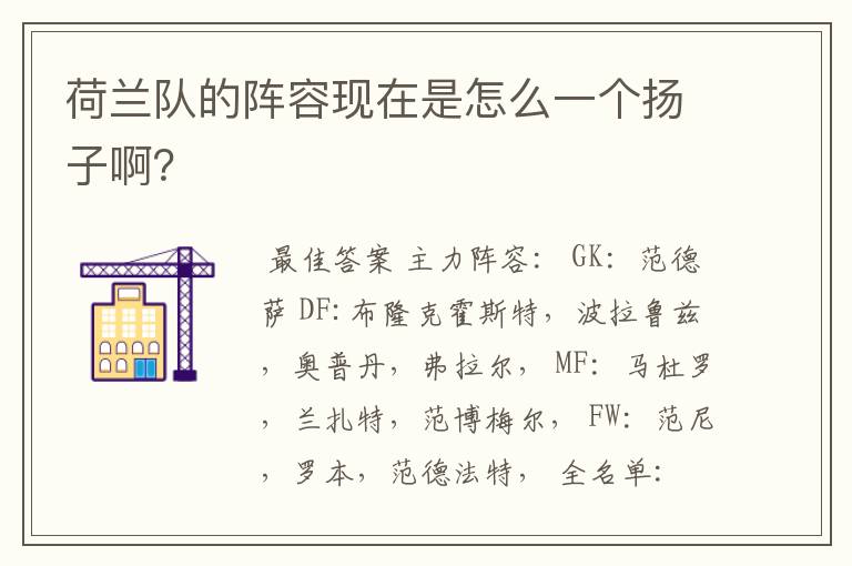 荷兰队的阵容现在是怎么一个扬子啊?